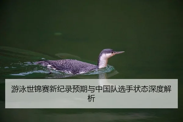 you-yong-shi-jin-sai-xin-ji-lu-yu-qi-yu-zhong-guo-dui-xuan-shou-zhuang-tai-shen-du-jie-xi-2-847.jpg
